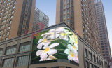 10mm DIP Outdoor Curved Advertising Full Color LED Display