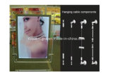 Double Sided Crystal LED Light Box Display (FS-C28)