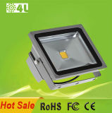 20W Outdoor LED Flood Lights with Competitive Price