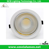 LED Ceiling Light for Indoor Use (OLPAROECO10010WW)