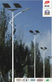 (BRSL-058) 15W LED 4m Height Solar Outdoor Lights