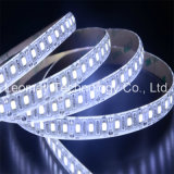 2835 12V LED Strip Light From China Factory