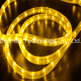 Flexible LED Rope Lamp Strip Light with 2 Wires