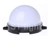 Plastic Base IP65 2.5W Green LED Bulb Light (D80mm)
