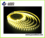 5m/Roll SMD3528 Flexible Strip Light-120 LEDs/M LED Strip/LED Strip Light/Flexible LED Strip
