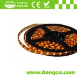 LED Strip Light with CE RoHS Certification
