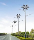 6m Solar LED Street Light