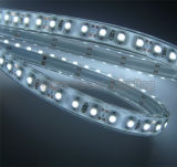 LED Flexible Strip, LED Flexible Strip Light