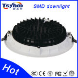 All Plastic Structure 10W LED Down Light