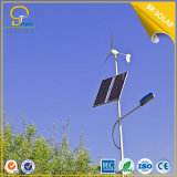 9m LED Wind Plus Solar Hybrid LED Light for Street
