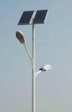 Popular 150W Solar LED Street Light