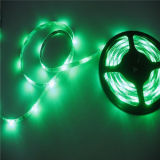 Green, CE, Rohs 3 Years Warranty, SMD5050 LED Strip Light
