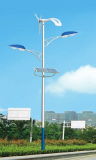 30W Solar Motion Sensor Garden Light with Pole
