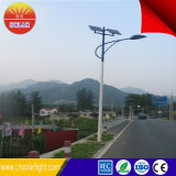 New Technology 10m 80W Solar LED Street Light Price