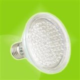 LED Bulb (LED/PAR30 E27)