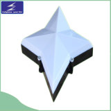 Outdoor Building Decorative LED Point Light