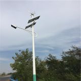 Hot Sales 7metres Pole, 30W LED Wind Solar Hybrid Street Lights