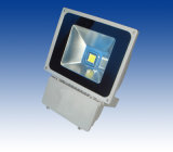 High Quality Outdoor LED Flood Light (CH-H2W080)