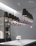 Chandelier Dz40001-10 Hand-Made Glass Indoor Lamp