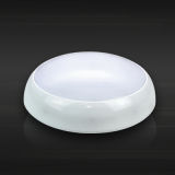 China Supplier Round Mounted LED Ceiling Light with CE