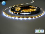 SMD3528 LED Strip Light Non Water Proof