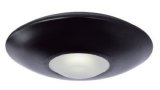 LED Ceiling Light--10W, COB LED, Modern Special Style