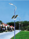 Best Selling 30W LED Solar Street Light