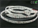 LED Rope Light, Flexible Strip