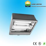 Induction Shoe Box Light (LG05-089hl)