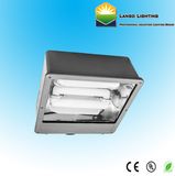 Induction Shoe Box Light (LG05-089hl)