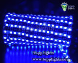 LED Strip Lights Waterproof IP65 (TP-5050-60-B)