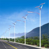 5m Pole 36W Solar LED Street Lights (DXSL-12D)