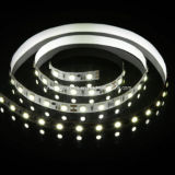 Constant Current 5050 LED Strip LED Light