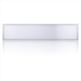 LED Panel Light 300x1200mm