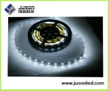 China LED Strip Light Supplier Best Quality Waterproof LEDs 5730 SMD Flexible Strip Light 60 LEDs/M