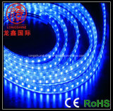 SMD5050/3528 Outdoor Blue Waterproof LED Strip Light