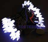 LED Acrylic Light (SR-012003)