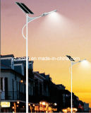6m Solar Street Lamp for Building