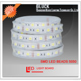 IP67 RGB 54lights 5050 Soft LED Light Strip USD6.0/M