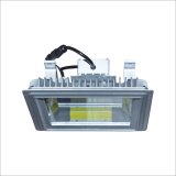 100W UL CE High Lumen LED Outdoor Light for Underpasses