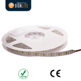 Factory 60LEDs IP64 Waterproof SMD5050 LED Flexible Strip Light