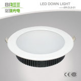 LED Down Light 20W (BR-DL6-01)
