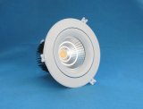 Aluminum LED Light/Lamp 40W CE Spotlight Ledfriend