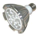 LED Spotlight (LBW-B1004)