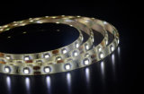Top Selling Product SMD3528 Hv LED Strip with Multiple Choice