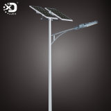 30wled Lamp, 6m Pole and Double Solar Panel
