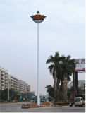 25m LED Street Light (SYH-11001)