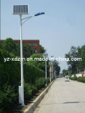 Supply 6m LED Street Light Pole with Lamps and Panels