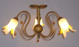 Ceiling Lamps