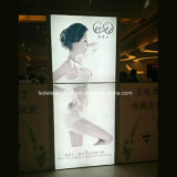 Mall Sexy Underwear Posters Advertising The LED Light Box